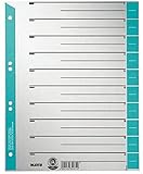 Leitz Register für A4, Deckblatt und 10 Trennblätter, Taben individuell zuschneidbar, 25 Stück, Überbreite, Grau/Blau, 100% Recyclingkarton, 16523030