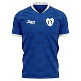 Airosportswear 2020-2021 Real Oviedo Home Concept Football Soccer T-Shirt Trik