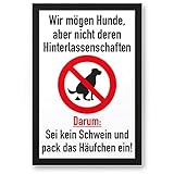 Komma Security Kein Hundeklo Keine Hundetoilette - Kunststoff Schild Hunde kacken verboten - Verbotsschild Hundeverbotsschild Verbot Hundeklo Hundekot Hundehaufen Hundekack