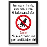 Komma Security Kein Hundeklo Keine Hundetoilette - Kunststoff Schild Hunde kacken verboten - Verbotsschild Hundeverbotsschild Verbot Hundeklo Hundekot Hundehaufen Hundekack