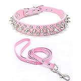 Spiked Leather Hundehalsband Leine Set, Bullet Nail Rivet Hundehalsband, Hundehalsband aus Leder mit Nieten, für mittelgroße, Pitbull, englische Bulldogg