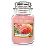 Yankee Candle Duftkerze im Glas (groß) | Sun-Drenched Apricot Rose | Brenndauer bis zu 150 S