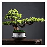 OMING Bonsai Baum Künstliche Bonsai Kiefer Gefälschte Pflanzen Zimmer Dekor für Schlafzimmer Ästhetische und Home Bauernhaus Bad Dekor, Höhe 13 Zoll Simulationsb