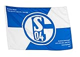 FC Schalke 04 Hissfahne/Hissflagge Erfolge 90x60 cm (Fahne) (2 Ösen)