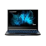 MEDION ERAZER Guardian X10 39,6 cm (15,6 Zoll) FHD Gaming Notebook mit 144hz (Intel Core i7-10750H, 32GB DDR4 RAM, 512 GB PCIe SSD, NVIDIA GeForce RTX 2070 SUPER, Win 10 Home)