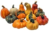 khevga Herbstdeko Zierkürbis Deko-Kürbisse aus Terracotta 12er S