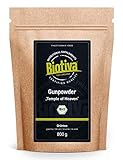 Grüntee Gunpowder Temple of Heaven Bio 800g - gerollte, kugelförmige Teeblätter - hellgrüne Tasse - angenehm mild, frisch, feinherb, süßlich - Fairbiotea-Teegarten Qing