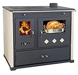 EEK A+ Kaminofen mit Backfach und Herdplatte Practik Lux Holzofen 9,5 kW Kamin Ofen Dauerbrandofen Werkstattofen Schwedenofen Hüttenofen H