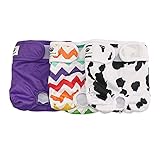 Hisprout weiblich Hund Windel wiederverwendbar waschbar Langlebig Hund Windeln Hose,Colorful Union,L