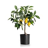 Velener Künstlicher Mini-Zitronenbaum, Bonsai-Pflanze, 48,3
