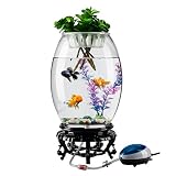 DALIZHAI777 Aquarium Persönlichkeit Kreative Runde Goldfisch Aquarium Aquarium Wohnzimmer Schreibtisch Mode Aquarium Desktop Dekoration Hause Glas Aquarium Fischglas (Size : S)