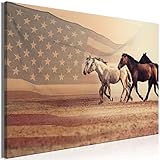 muradno - Bilder Pferde 90x60 cm Leinwandbild 1 TLG Kunstdruck modern Wanbilder XXL Wanddekoration Design Wand Bild - Tiere USA Fahne America Abstrakt g-C-0409-b