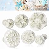 MELARQT Fondant Ausstecher Set, Stempel Ausstechform, Schneeflocken Ausstecher Fondant DIY für Flache und Texturierte Kuchen Dekoration zu Bauen Oder Geeignet Fürdirekte Prägung - 6 Stück
