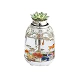 JJWC Aquarium-Fischtank 5.5L mit Stromfilter transparent Bunte LED-Beleuchtung für Home Schreibtisch-Dekoration Aquarium-Zubehö