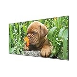 banjado® Küchenrückwand Glas als Spritzschutz für Küche 70x70cm – Fliesenspiegel mit Motiv Calendula – Nischenrückwand selbstklebend ohne Bohren aus Sicherheitsglas - magnetisch & beschreibb