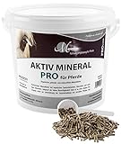 MIGOCKI AKTIV Mineral PRO – 4 kg – Mineralfutter für ältere Pferde – Organische Bindung, Getreide- und Melassfrei,