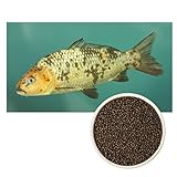 ULTRA KOI - Premium Futter SCHWIMMEND für Kois und Teichfische - Alleinfuttermittel für Fische Koifutter, Fischfutter Aquarium und Gartenteich - Palettes Granulat - Ganzjahresfutter- (4,5mm, 5 kg)