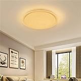 LED Badezimmer Deckenleuchte 36W RGB Dimmbar Party Deckenlampe,App & Fernbedienung,46Cm Sternenhimmel Lampenschirm Für Küche, S