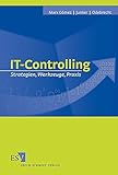 IT-Controlling: Strategien, Werkzeuge, Prax