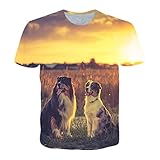 3D T-Shirts, 3D Gedruckt Männer Sommer T Shirt Unisex Casual Short Sleeve O-Ausschnitt Persönlichkeit Männer Lose Tops Plus Größe Gothic Paar Kleidung 3XL