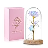 QUNPON Künstliche Blumen Rosengeschenk Ewige Rosen Verzauberte Rose in Glaskuppel mit LED Licht Forever Rosen geschenk für Frauen Geburtstag Valentinstag Muttertag Jubiläum W