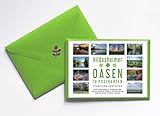 Postkarten-Set: Hildesheimer O
