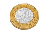 Learning Resources Britische 1-Pfund-Münzen, Set mit 50 Stück