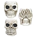 TISHITA Human Skull Shaped Design Blumentopf Blumentopf Moderne Harz Blumentopf Set für Kaktus Haunted House Ornament Schreibtischdekoration Bar G