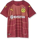 PUMA Kinder BVB SS GK Shirt Replica Jr with Evonik Logo Without OPEL Log Trikot, Pomegranate, 176