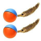 2 Stücke Roller Ball Katzenspielzeug Automatische Roller Ball Hund Katze Haustier Spielzeug Zufällige Farb