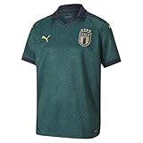 PUMA Jungen FIGC Third Shirt Replica Jr Trikot, Ponderosa Pine-Peacoat, 128