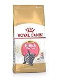 Royal Canin KITTEN British Shorthair Katzenfutter 10 kg, 1er Pack (1 x 10 kg)