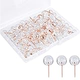 Kissral 100pcs Pinnadeln Rosegold für Weltkarte Pinnwand Kork Pinnadeln Durchsichtig Stecknadeln mit Kopf Kurz Pinnwandnadeln Transparent Großem Kopf Pins mit Kunststoffbox, Büroartikel Nähen Zubehö