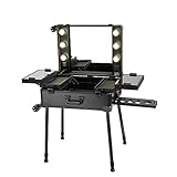 Panana Professionell Schminkkoffer mit Spiegel und Licht, Reise-Kosmetikkoffer Schminktisch Trolleys Multikoffer, 64x44x22cm - Schw