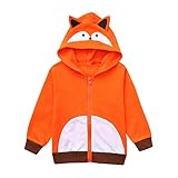 TOPKEAL Unisex Jungen Mädchen Baby Hoodie Kinder Langarm Cartoon Fuchs Sweatshirt Jacke Mäntel Pullover Pulli Strickjacke Kapuzenpullover Tops T-Shirts Blusen (Orange, 120)