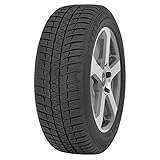 FALKEN EUROWINTER HS449 XL RFT FSL 245/45RF18 100V TL