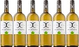 Castell CASTELL-CASTELL Müller-Thurgau 2020 Trocken (6 x 1.0 l)