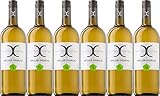 Castell CASTELL-CASTELL Müller-Thurgau 2020 Trocken (6 x 1.0 l)