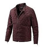 JJWC Basic Parkas,Männer Casual Stehkragen Massivfarbe Warme Mäntel Männer Winter Jacken Herren (Color : D, Size : Asia L 55-65 kg)