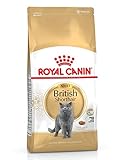 Royal Canin Katzenfutter, Britisch Kurzhaar, 10 kg