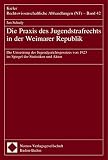 Die Praxis des Jugendstrafrechts in der Weimarer Republik: Die Umsetzung des Jugendgerichtsgesetzes von 1923 im Spiegel der Statistiken und Akten (Kieler Rechtswissenschaftliche Abhandlungen, Band 42)