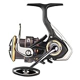 Angeln Daiwa Legalis LT 2000