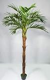 Phönixpalme mit Kokosstamm 220cm ZJ künstliche Palmen Kunstpalmen Kunstpflanzen Dekop
