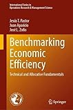 Benchmarking Economic Efficiency: Technical and Allocative Fundamentals (International Series in Operations Research & Management Science, 315, Band 315)