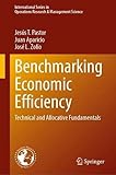 Benchmarking Economic Efficiency: Technical and Allocative Fundamentals (International Series in Operations Research & Management Science, 315, Band 315)