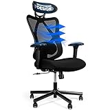 Wishing Well Living Well® Ergonomischer Bürostuhl | Schreibtischstuhl für das Arbeitszimmer, Home Office & Co | Orthopädischer Drehstuhl gegen Rück