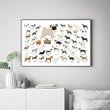 jijimidianzi Dekorative Leinwand Hunderassen Sammlung Illustration Poster Wandkunst Leinwand Malerei Bild Hundeliebhaber Geschenkidee Nordic Poster Wohnkultur-60x80