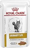 Royal Canin Feline Diet Urinary S/O Moderate Calorie Katze Food Wet 48 x 10