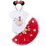 FYMNSI Baby Mädchen Mein 1. Geburtstag Outfit Maus Kostüm Gepunktet Tütü Rock Baumwolle Kurzarm Body Strampler mit Ohr Stirnband 3tlg Bekleidungsset Fotoshooting Sommer R