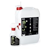 BEULCO CLEAN - Bio Felgenreiniger 1 x 5L Kanister inkl. 300 ml Sprühflasche (Set) für Auto & Motorrad - Felgen & Reifenglanz Universal Premium Reiniger extrem - biologisch abbaubar, umw